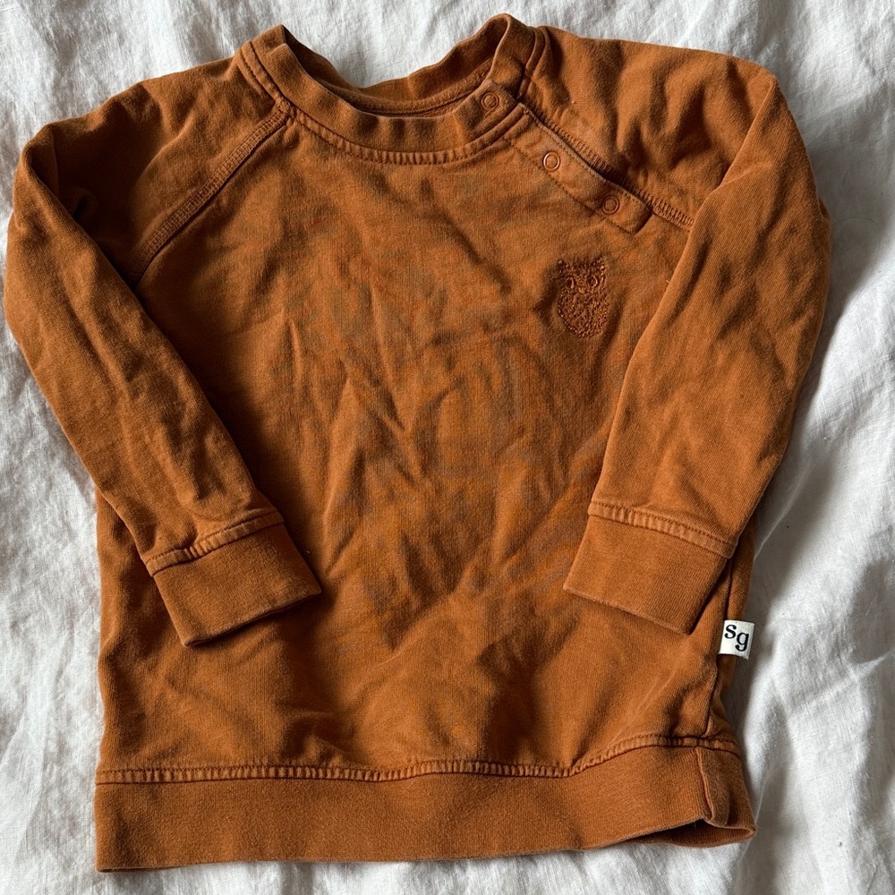 Soft Gallery owl pullover